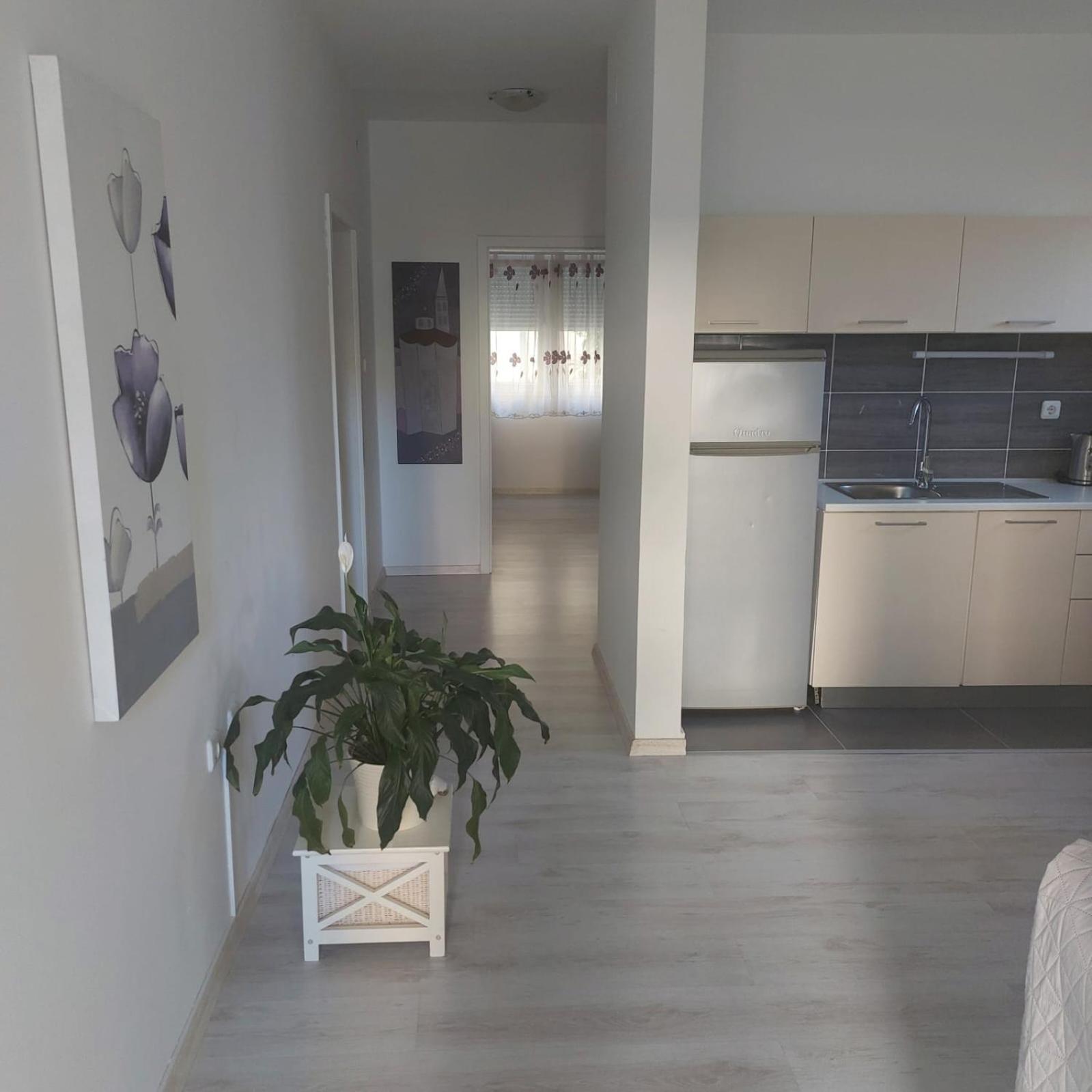 Martina Sun Apartment Zara Esterno foto